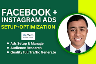 set up facebook ads campaign and instagram ads to grow your business