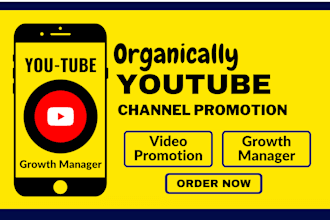 do organic and super fast youtube video promotion and channel growth