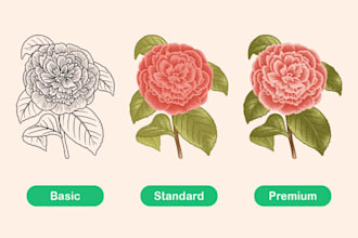 draw botanical illustration of flowers, plants, fruits