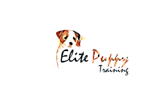 create a minimalist creative dog logo design