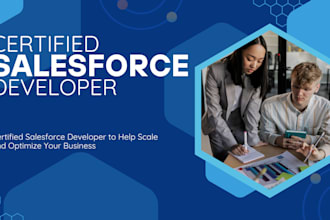 be your salesforce developer or admin