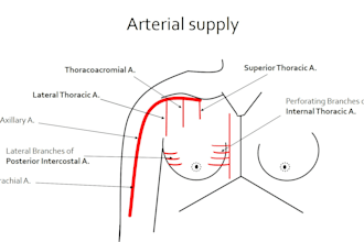 tutor core concepts of gross anatomy, embryology and histology at short notice