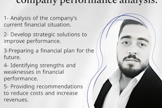 financial consulting and company performance analysis