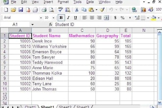 do data entry from pdf to word or any other document