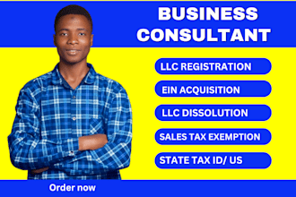 do streamline llc registration in the US and obtain a legitimate ein number