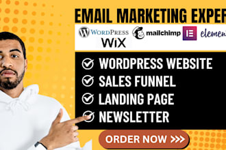 design wordpress mailchimp landing page newsletter sales funnel website