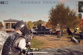 develop online battle royale game, multiplayer, shooting game