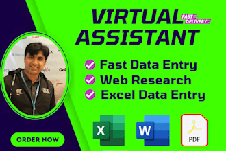 be your virtual assistant for data entry and online work