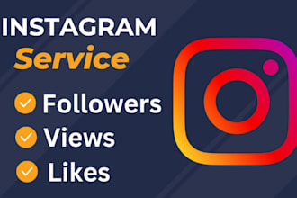 super fast organic instagram promotion