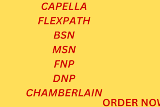 do walden, chamberlain and wgu nursing, bsn, msn, pmhnp, dnp, fnp