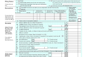 prepare tax return 1120, 5472 and 1040 schedule c forms