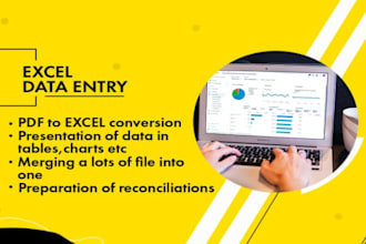 data entry typing work jobs, excel data entry, copy paste, PDF conversion