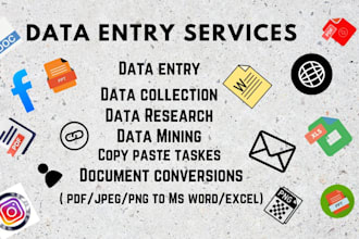 do data entry insert data data collection with in short time