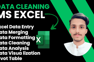 clean, format, merge, split excel data