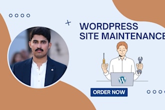 provide wordpress website maintenance and support