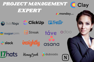 setup asana clickup trello slack dubsado hootsuite studio ninja honeybook crm