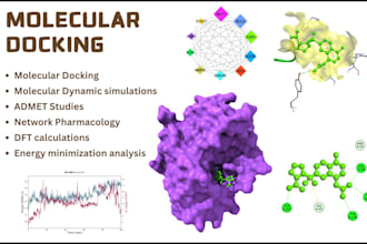 do molecular docking, network pharmacology and in silico studies