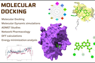 do molecular docking, network pharmacology and in silico studies