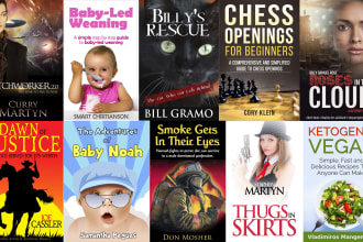 design stunning kindle or amazon KDP book cover