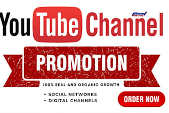 do organic youtube promotion for your video to grow your views