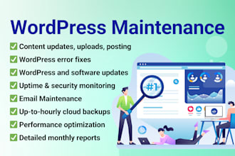 do monthly wordpress website maintenance and business support
