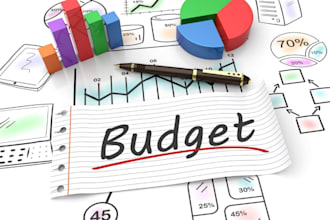 be providing a budget and finance report based on your financial