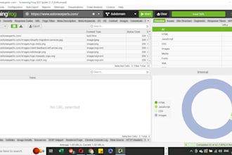 screaming frog SEO audit and analysis