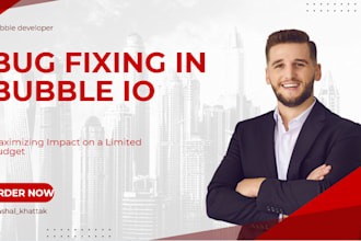 do api integration and fix bug issues in your bubble website or app