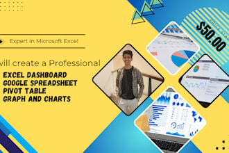 create a professional excel dashboard, pivot table, and graph for your business