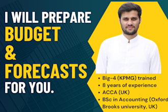 prepare budget and forecasts for you
