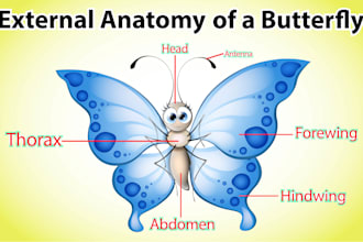 do important children story book illustrations