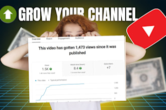 be your youtube SEO expert and channel manager
