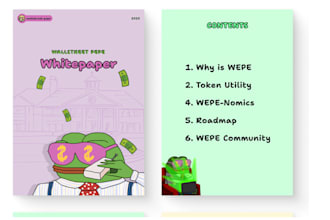 write and design crypto white paper meme coin whitepaper gitbook or news website