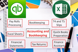 do bookkeeping, tax returns and payroll for canadian and US based clients