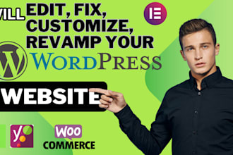redesign design duplicate revamp update fix wordpress plumber website