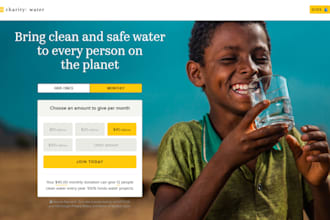 design donation ngo website 501c3 website crowdfunding website charity website