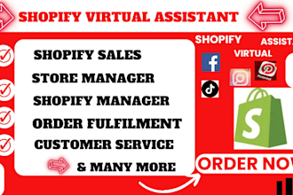 your shopify virtual assistant setup shopify dropshipping for shopify website