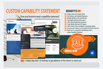 design editable and professional government capability statement in 12hrs