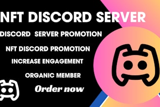 do nft discord server promotion, discord server setup, mass dm, nft discord