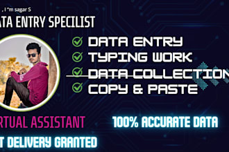 do something about data enty work