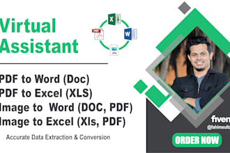do accurate data entry and data extraction or trace image