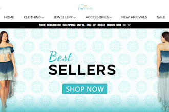 design shopify clothing store or shopify website