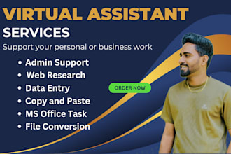 be your virtual assistant for data entry, web research and admin support
