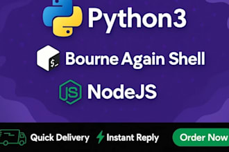 do python projects, nodejs, scripts, build bots, web crawlers, django