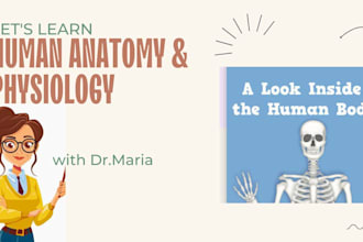 teach you anatomy with detailed lessons and expert guidance