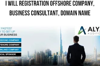registration offshore company, business consultant, domain name