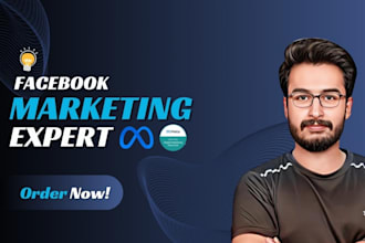 provide reliable facebook ads marketing campaign service