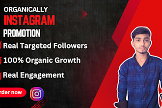 targeted audience fast organic growth instagram management