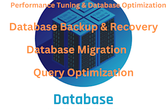 provide oracle database performance tuning, backups, and maintenance