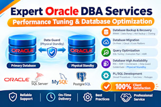 provide oracle database performance tuning, backups, and maintenance